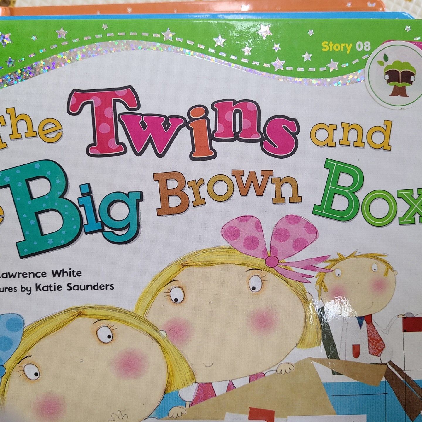 씽씽 영어 Story 08 The Twins and the Big Brown Box