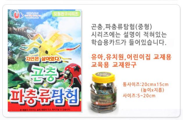 자연은 살아있다-곤충파중류탐험